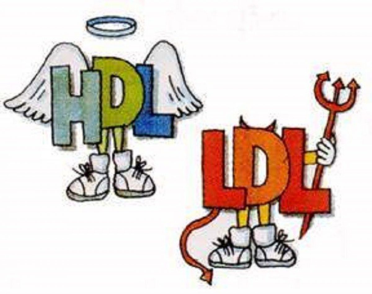 Dieta para colesterol ldl alto impacto