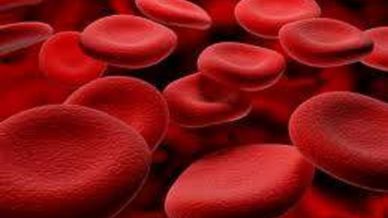 Doenças do Sangue 10 Doenças do Sangue 1